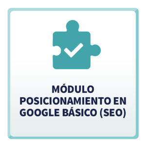 Módulo Posicionamiento en Google Básico (SEO)