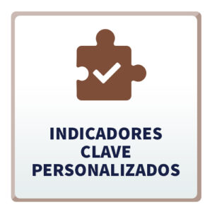 Indicadores Clave Personalizados