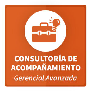 Consultoria Acompañamiento Gerencial Avanzada para la Transformación Digital
