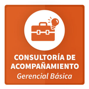 Consultoría de Acompañamiento Gerencial Básica para Transformación Digital