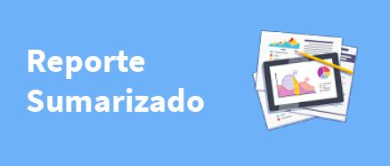 Reporte Sumarizado