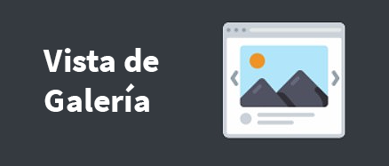 Vista de Galería